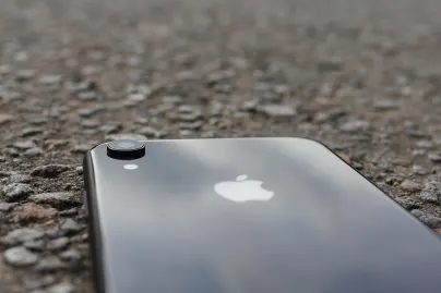 Casino Jungle Raja Mobilna aplikacija